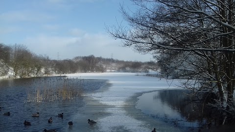 Straiton Pond Local Nature Reserve