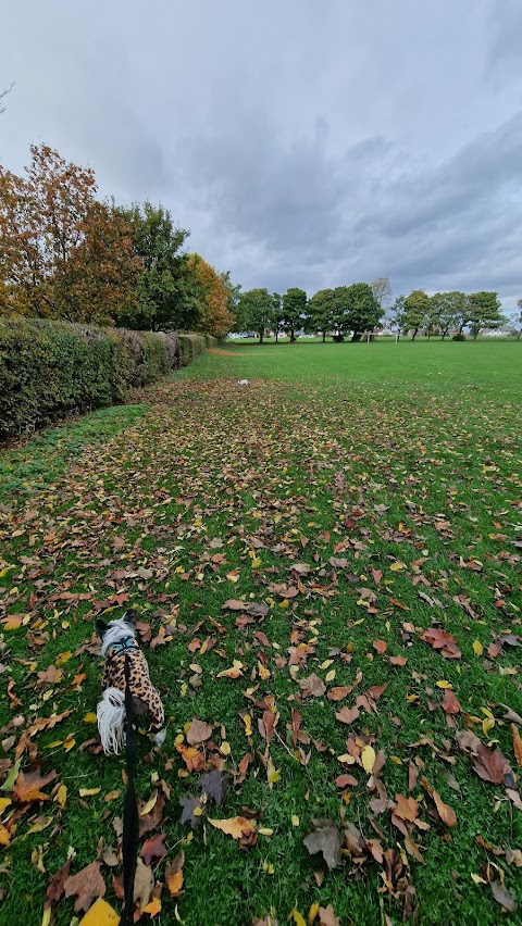 Green Park Playing Fields