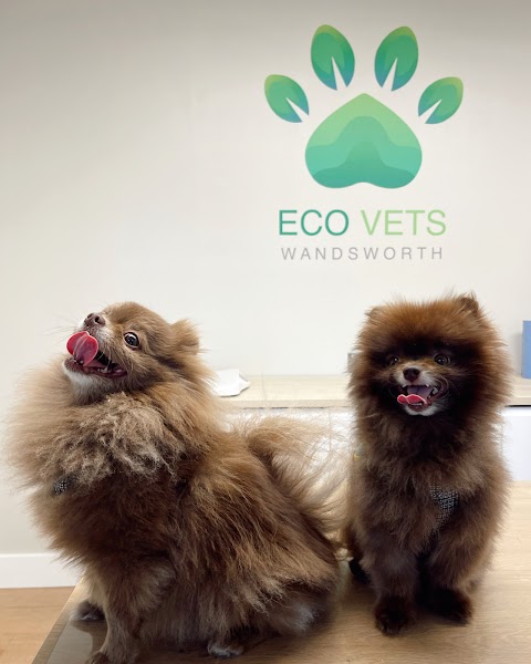 Eco Vets Wandsworth