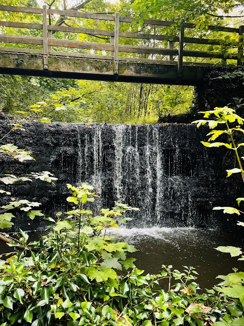 Cadzow Glen Gates