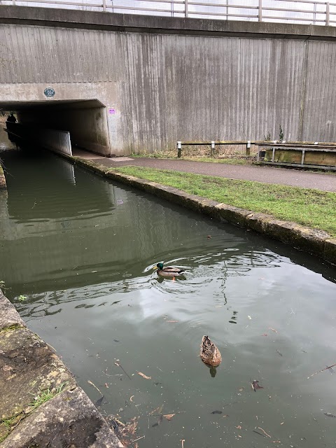 Tapton Lock