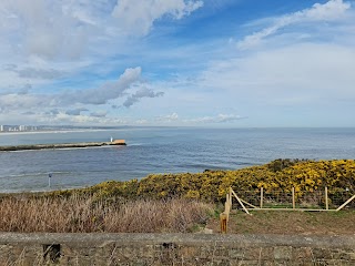 Nigg Bay Golf Club