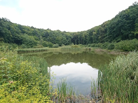 Озеро Кривуля