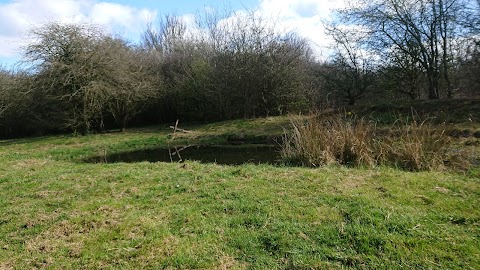 Stantonbury School