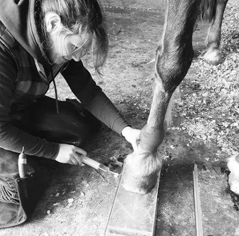 Manor Equine Vets Ltd