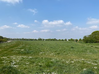 Winn's Common