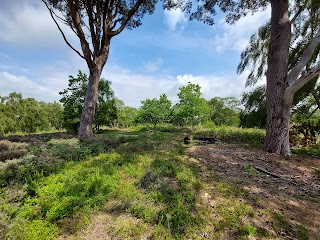 Cannock Chase Country Park