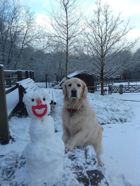 Farnham Veterinary Group, Practice & Hospital