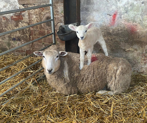 Baa Hill Farm Shop