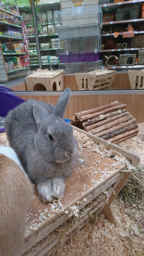 Pets at Home Walsall