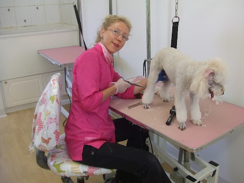 South Notts Dog Grooming