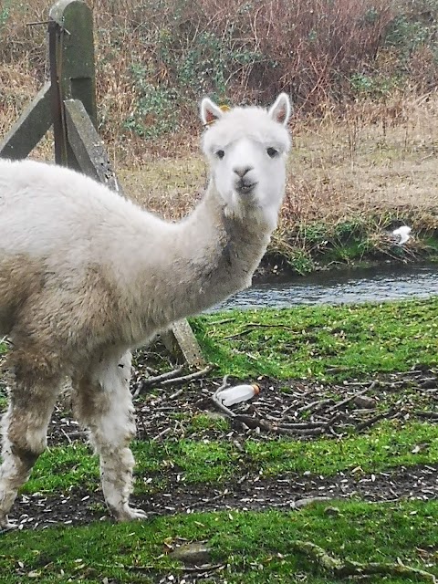 Pimhole Community Farm