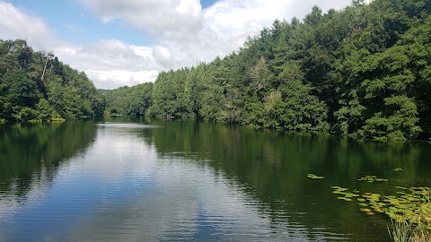 National Trust - Woodchester Park