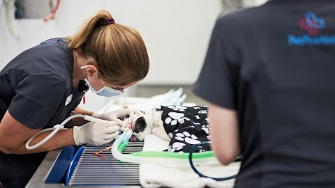 Pet Practice Veterinary Surgery