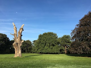 Stoke Lodge Playing Field