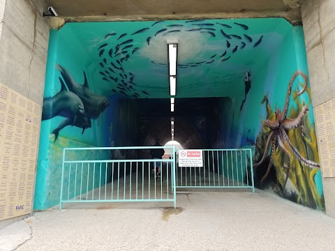 Saltdean Lido