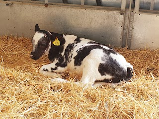 Rookery Open Farm