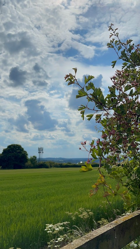 Hills And Hollows