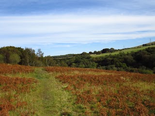 Linhouse Glen