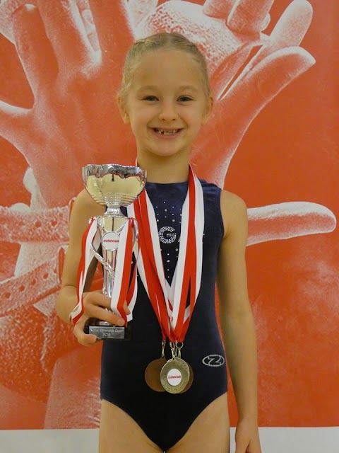 Sheffield Gymnastics Academy