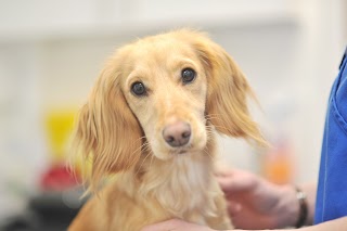 Churchfield Veterinary Centre