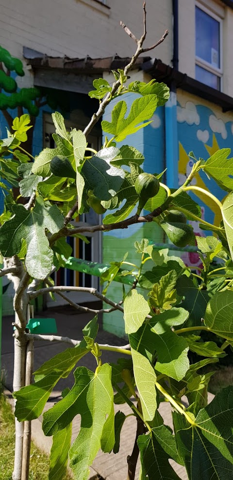 Fig Tree Day Nursery