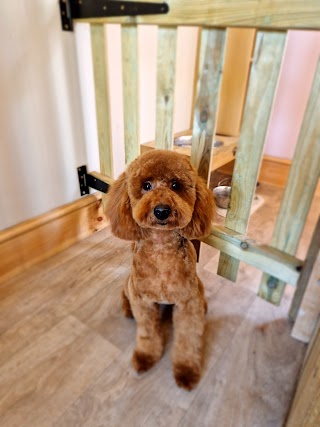 The Pink Paws Dog Grooming Salon