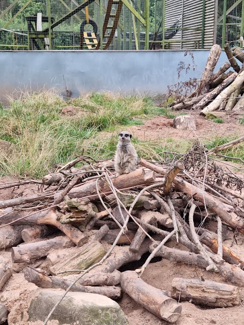 Hoo Zoo and Dinosaur World