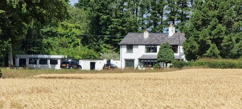 Scarisbrick Dog Walking Field