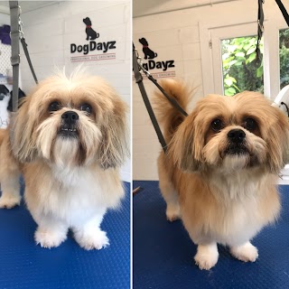 Dogdayz Professional Dog Grooming