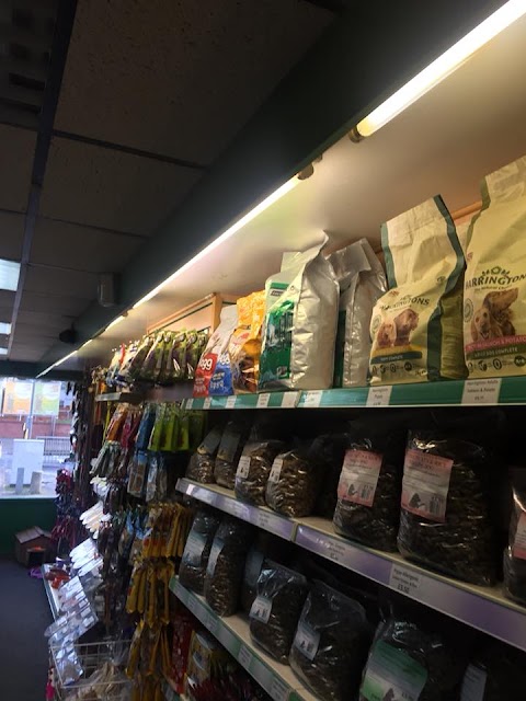 East Midlands Pet and Reptile Supplies Saffron