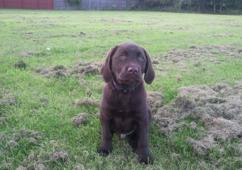 Barnhouse Veterinary Surgery