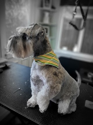 FUR FLY'S DOG GROOMING IN MANSFIELD