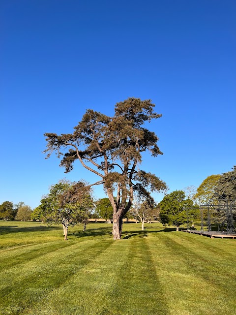 Wilderness Reserve