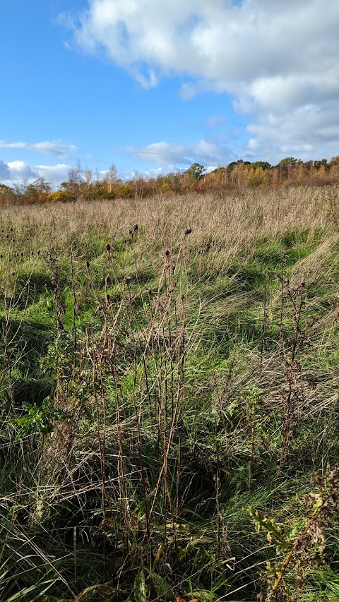 Hampshire Farm Meadows