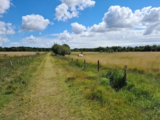 Baddesley Common and Emer Bog