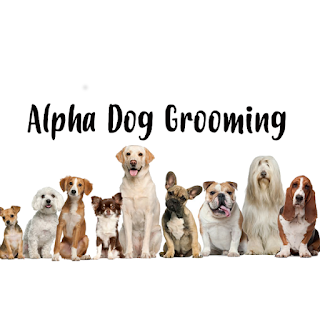 Alpha Dog Grooming