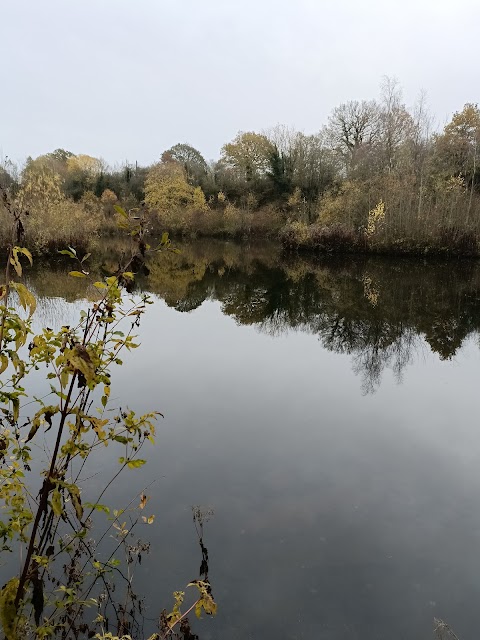 Ryton Pools Country Park