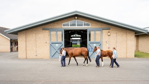 Newmarket Equine Hospital