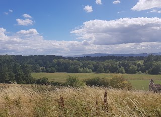 Dog Run - St. Catherine's Park