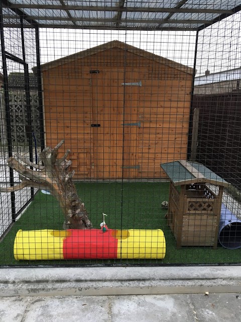 Pet Chalet Cattery