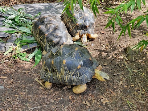 Northumberland College Zoo