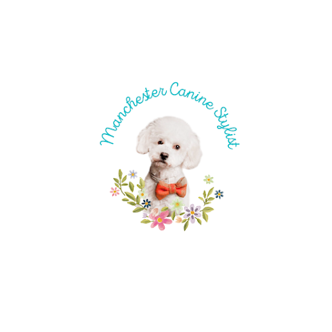 Manchester Canine Stylist