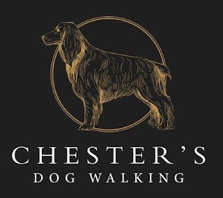 Chester's Dog Walking