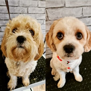 Muddypaws dog grooming