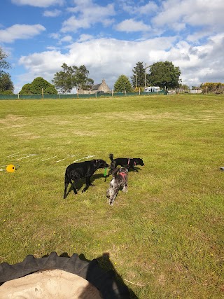 Zoomies Aberdeen