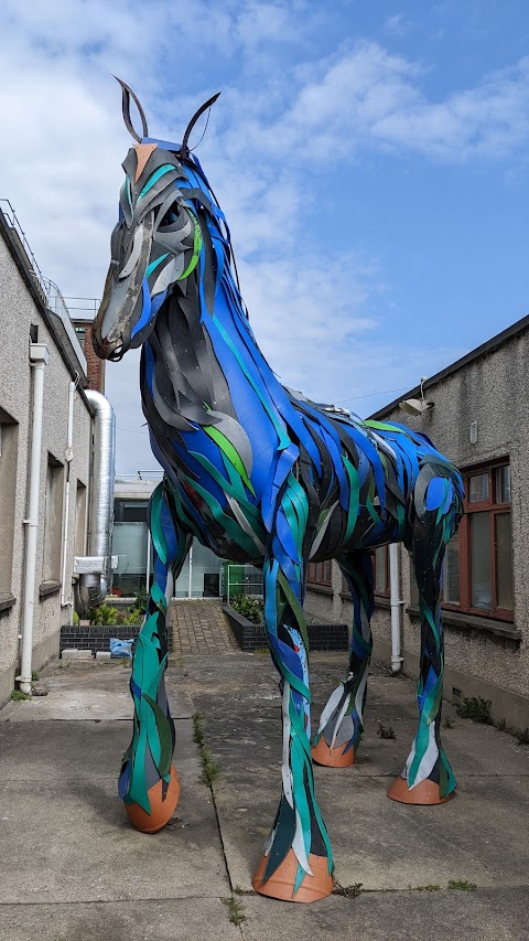 Children's Health Ireland (CHI) at Crumlin