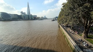 Thames River Sightseeing