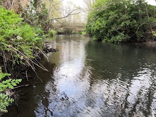 Shepherd Meadow Nature Reserve