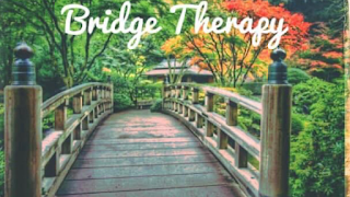 Bridge Therapy Southampton